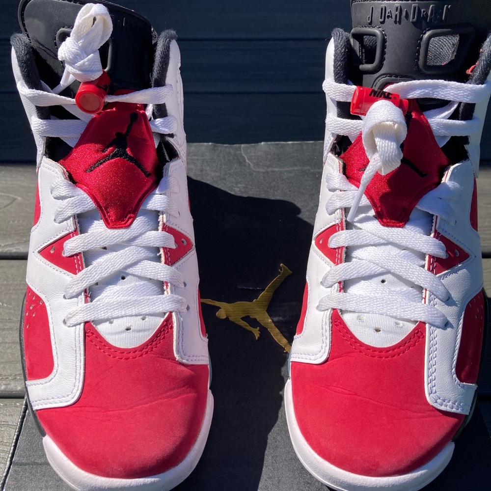 Jordan 6s